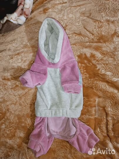 Костюм для животных