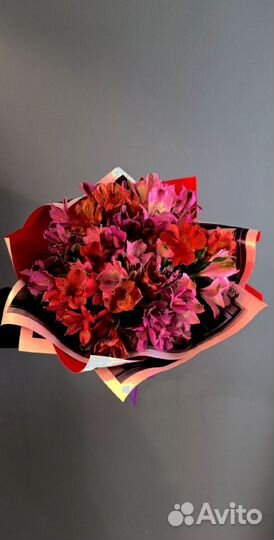 Альстромерии Букет Доставка