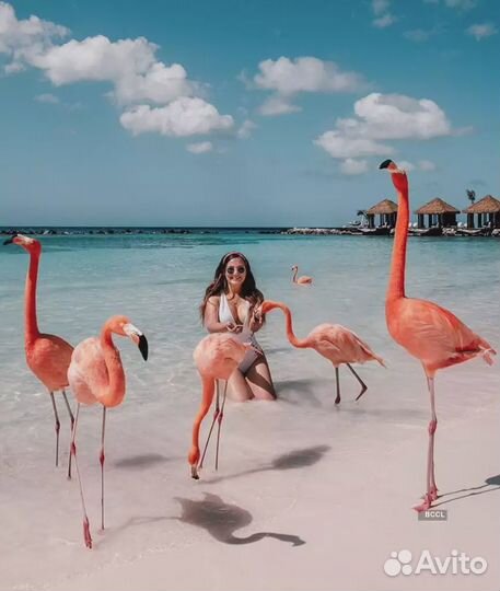 Турпоездка в Варадеро на 12 ночей