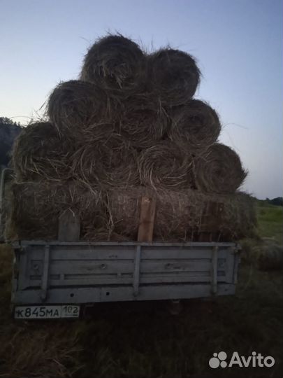 Сено в минирулонах