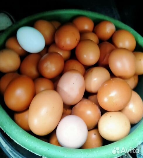 Натуральное домашнее мясо