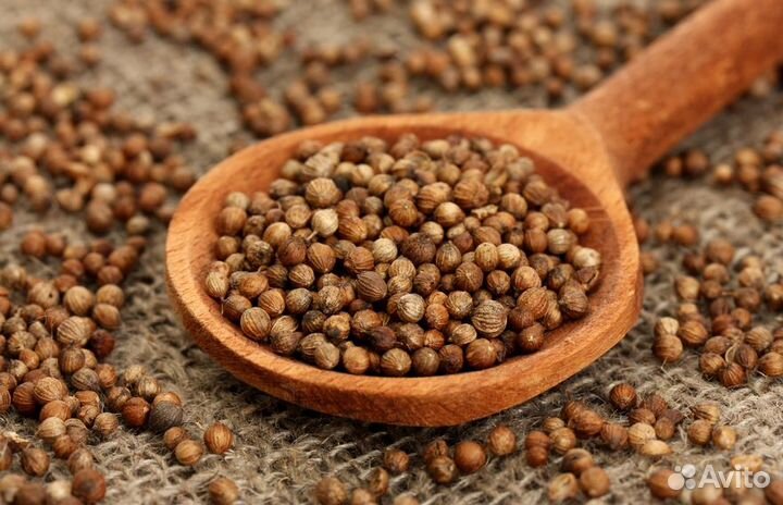 Укроп.семена. домашнее чистое свое. Почтой