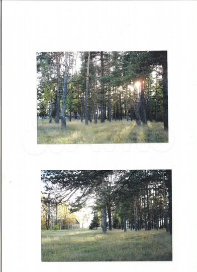 Помещение свободного назначения, 2200 м²