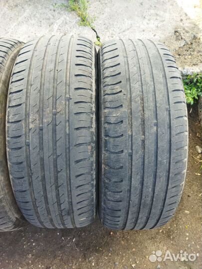 Nokian Tyres Nordman SX2 175/65 R14