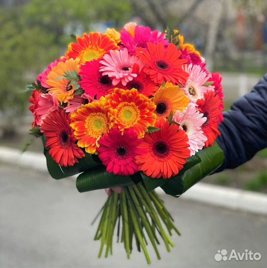 Яркие Герберы в Букете