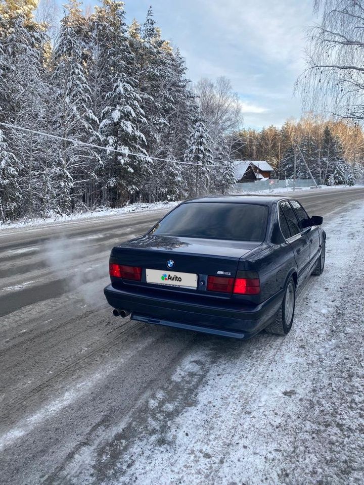BMW 5 серия: фото владельца