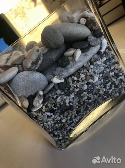 Декоративная ваза с ракушками и камешками