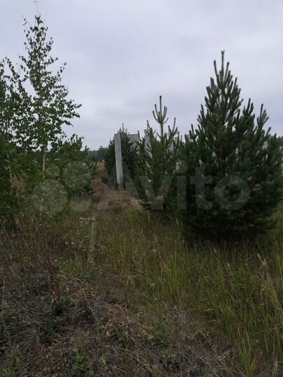 Участок 5 сот. (ИЖС)