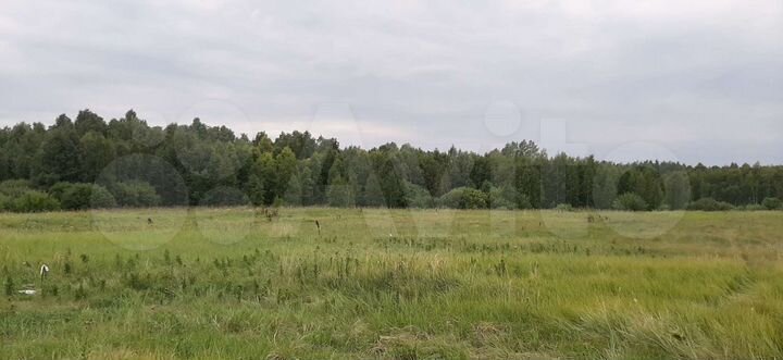 Участок 15 сот. (ИЖС)