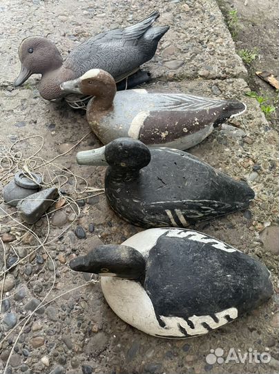 Утка приманка