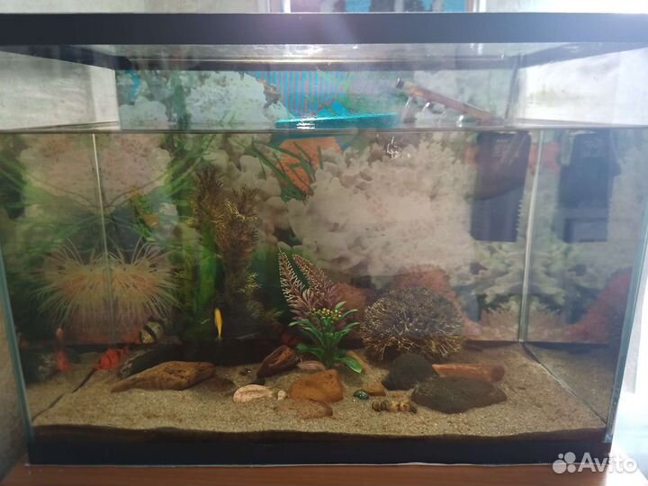 Аквариум 40л
