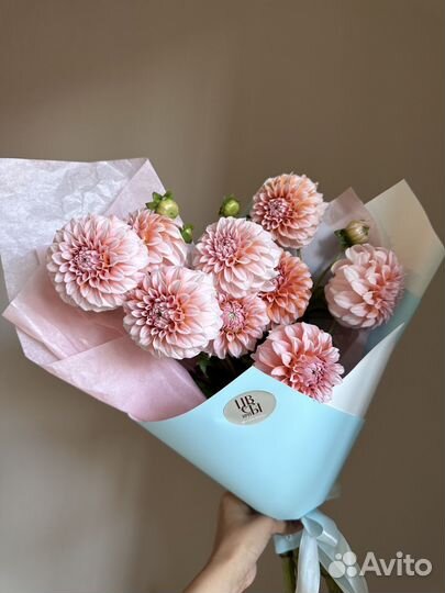 Букет из георгинов премиум. Доставка цветов