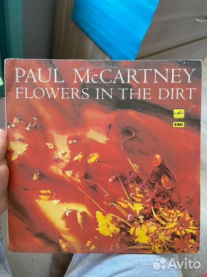 Коллекция винила более 30 пластинок