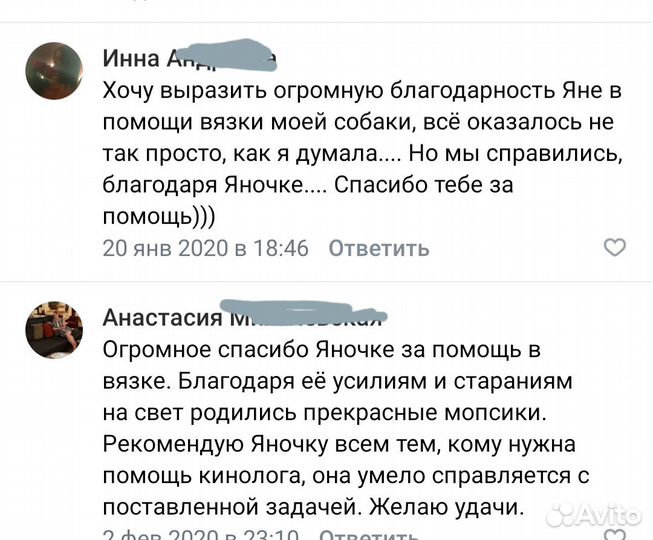 Инструктор по вязке собак Воронеж