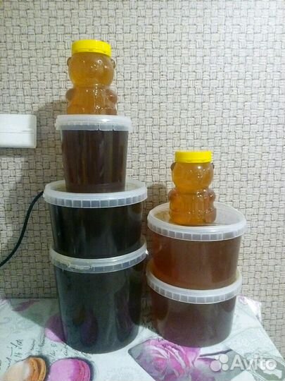 Мед горный 2024