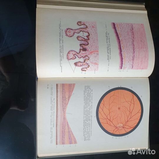 Глазные болезни В. Архангельский книга