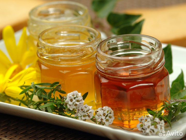 Мед алтайский/ соты