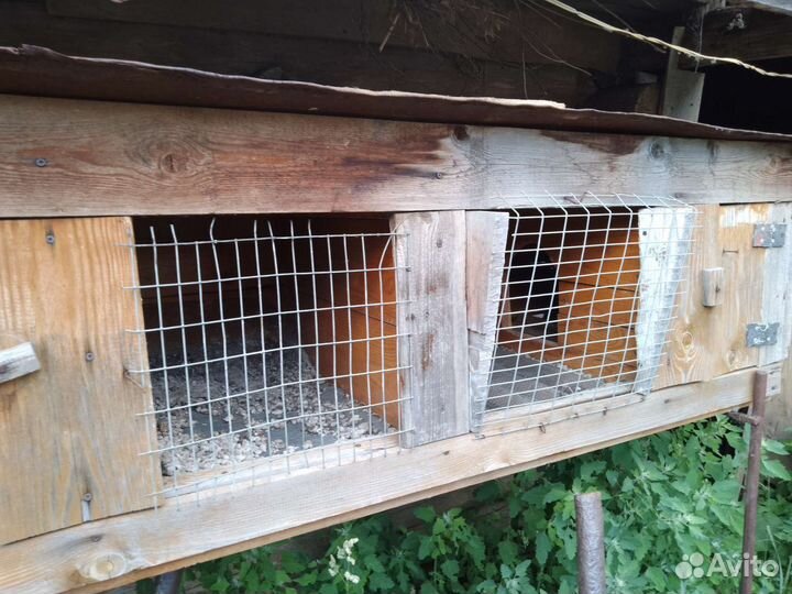 Клетки для кроликов бу