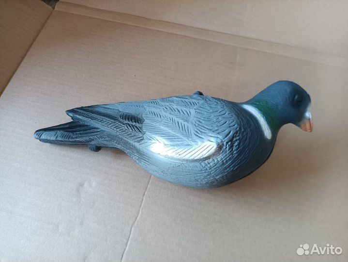 Голубь, вихарь