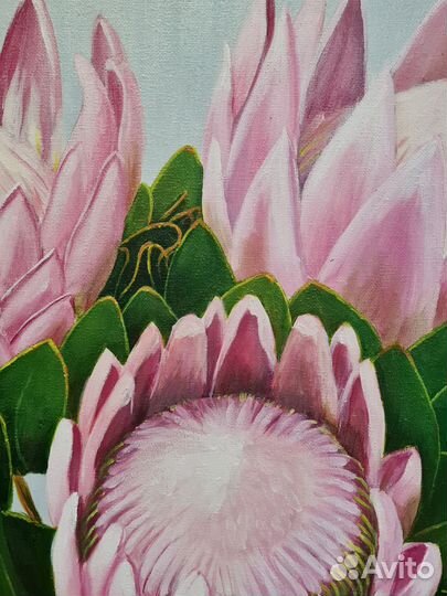 Картина на холсте Протея