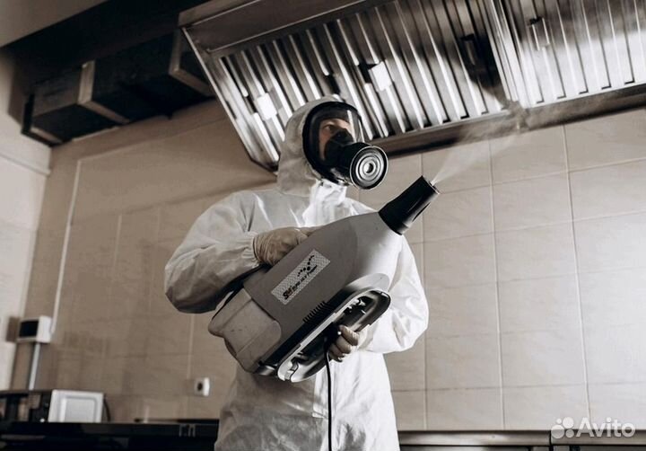 Уничтожение клопов тараканов грибка плесени