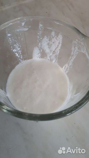 Чайный гриб (комбуча), тибетский (кефирный) гриб