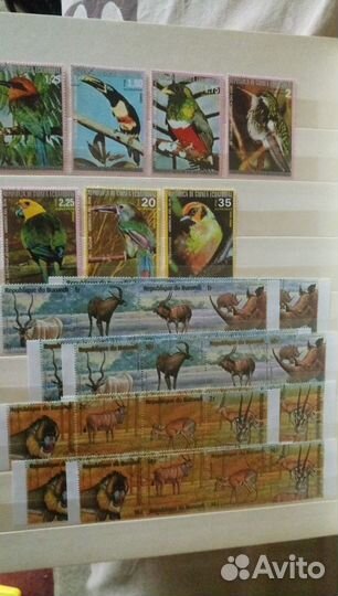 Марки Фауна Зарубежные 1964-1977г