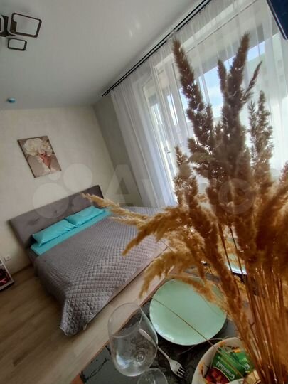 Квартира-студия, 26 м², 7/25 эт.