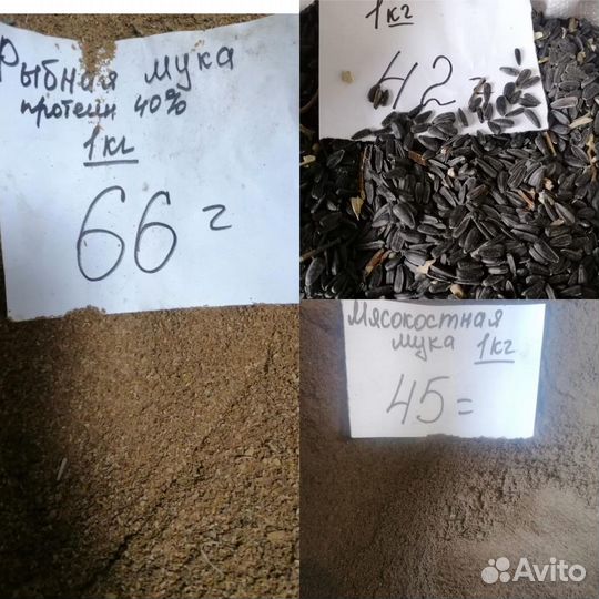 Корма для животных