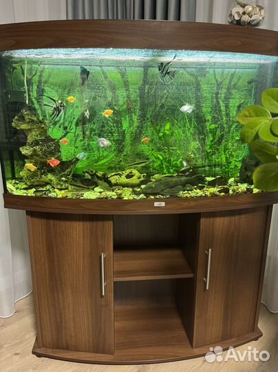 Аквариум с тумбой Juwel