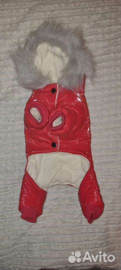 Комбинезон для маленькой собаки зима