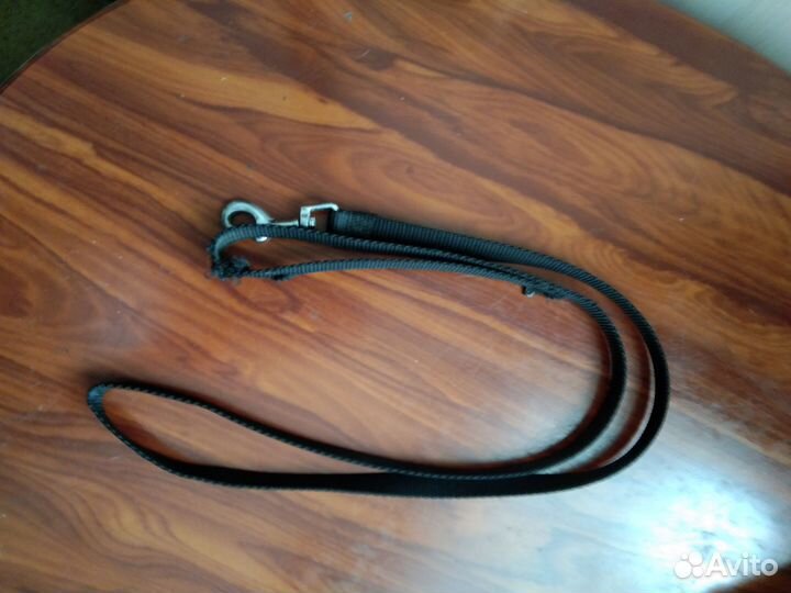 Ошейник для собак