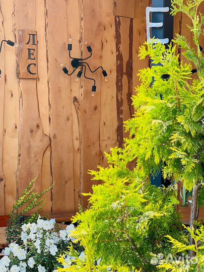 Посудомойщик/ца (стюарт)