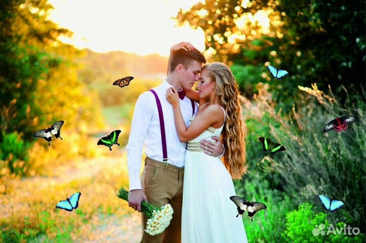 Салют из Живых Тропических Бабочек с/б-10