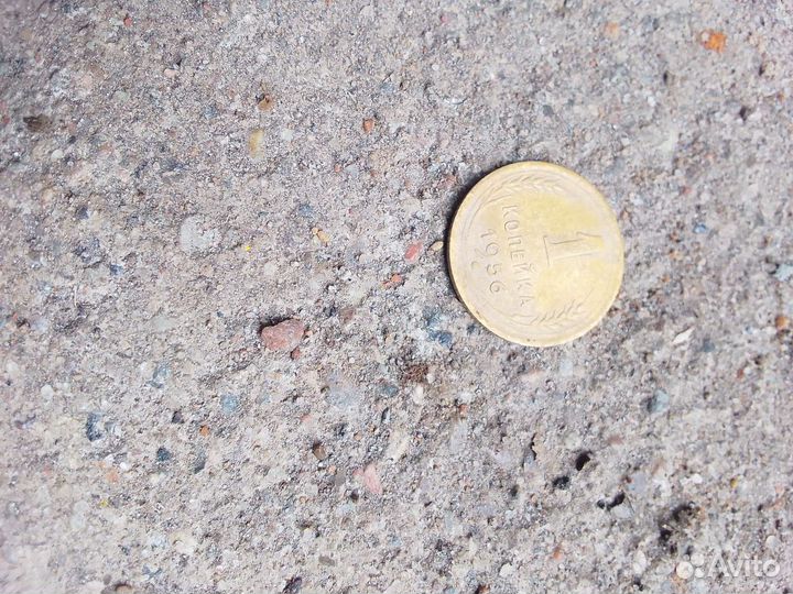 Монета 1 копейка 1956