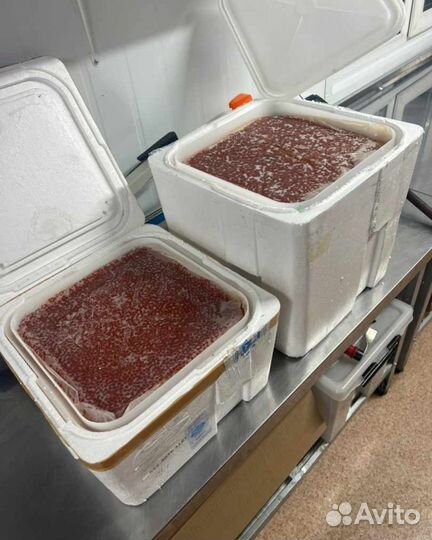 Красная икра 2023