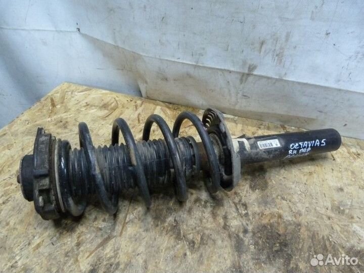 Амортизатор передний правый Skoda Octavia (A5 1Z)