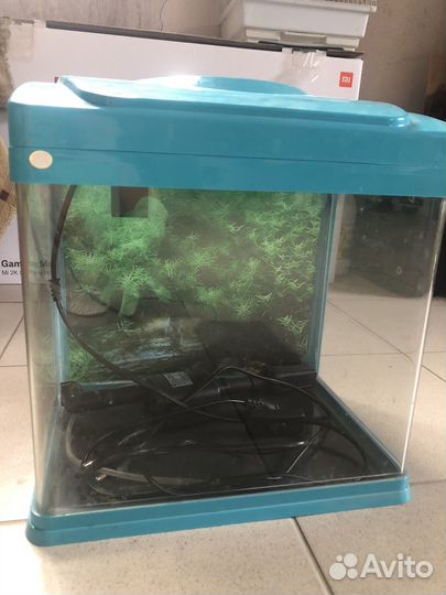 Аквариум