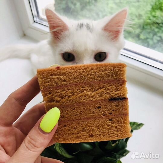 Белёвская Пастила Яблочная