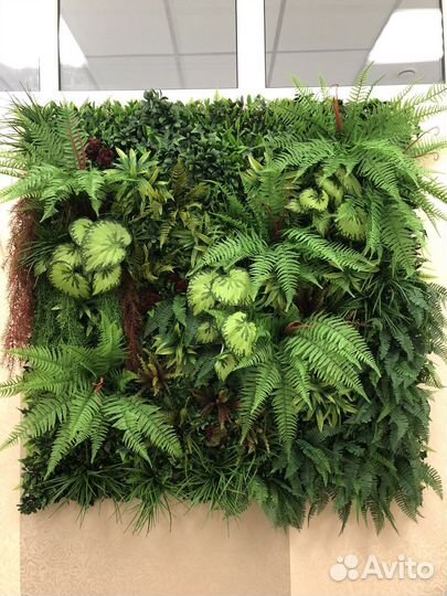 Фитостены из мха, искусственных растений