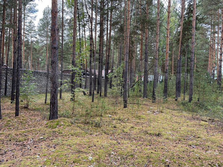 Участок 29 сот. (ИЖС)