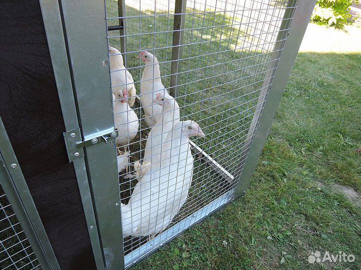 Выгул-клетка для птицы