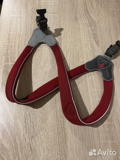 Шлейка для собаки