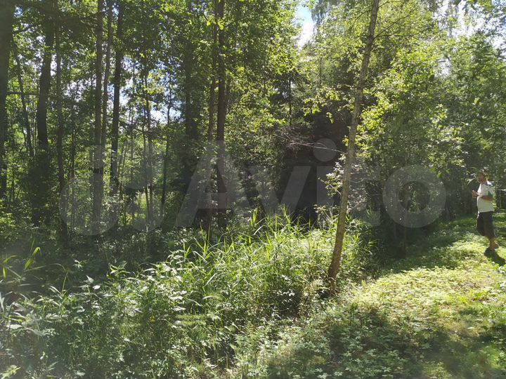 Участок 15 сот. (СНТ, ДНП)