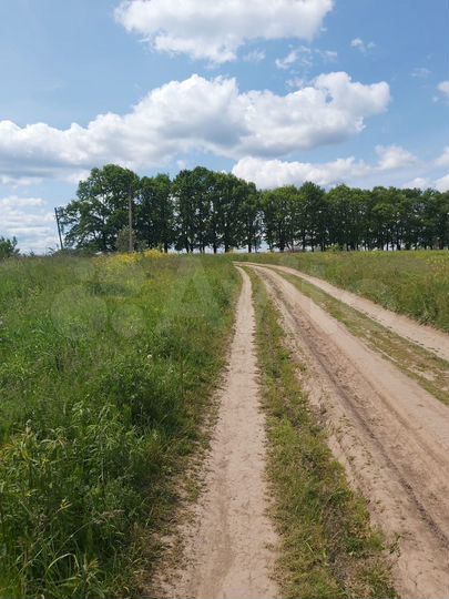 Участок 15 сот. (ИЖС)