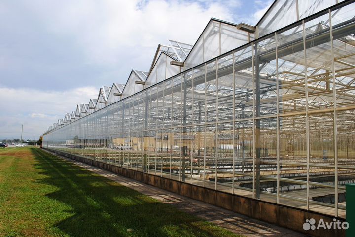 Круглогодичная промышленная теплица с арендатором