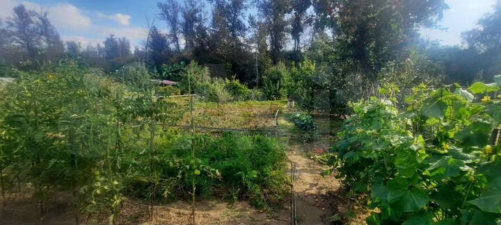 Дача 36 м² на участке 7 сот.