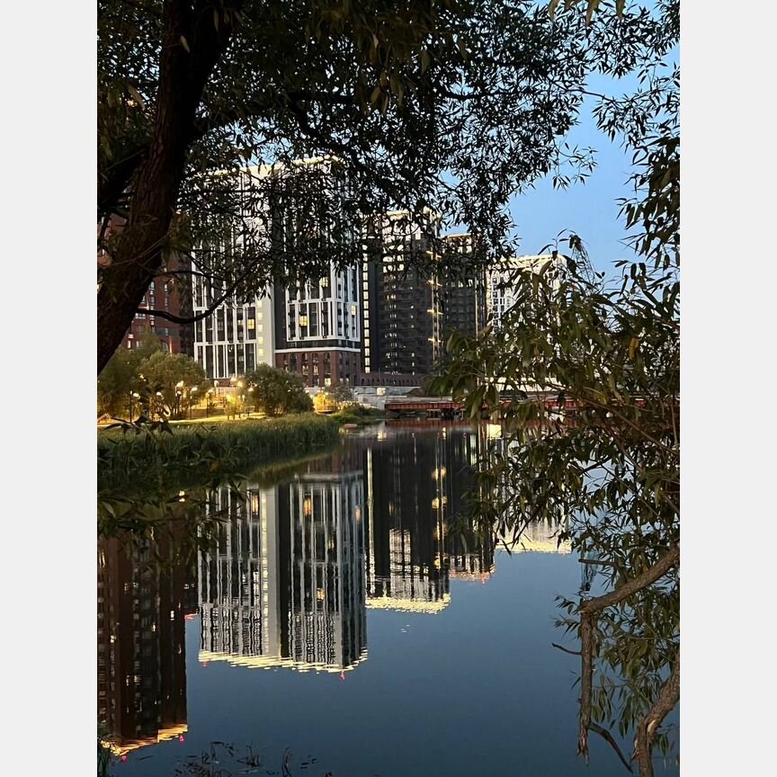 Квартира-студия, 24,2 м², 8/16 эт.