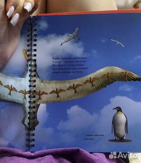 Книга 2D волшебные страницы птицы