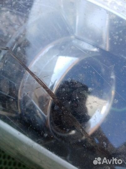 Фара передняя левая Kia Ceed